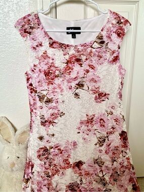 Women's Studio Connection Printed Lace Flounce Hem Dress
